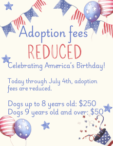 July Adoption Fees
